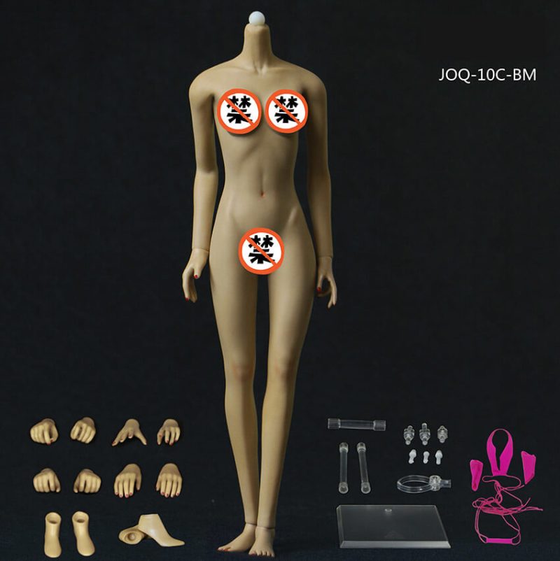 Corps féminin sans coutures, squelette, buste moyen, forme asiatique 1/6