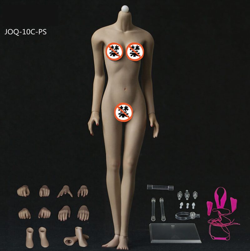 1/6 Asian Shape Middle Bust Skeleton Seamless Female Body