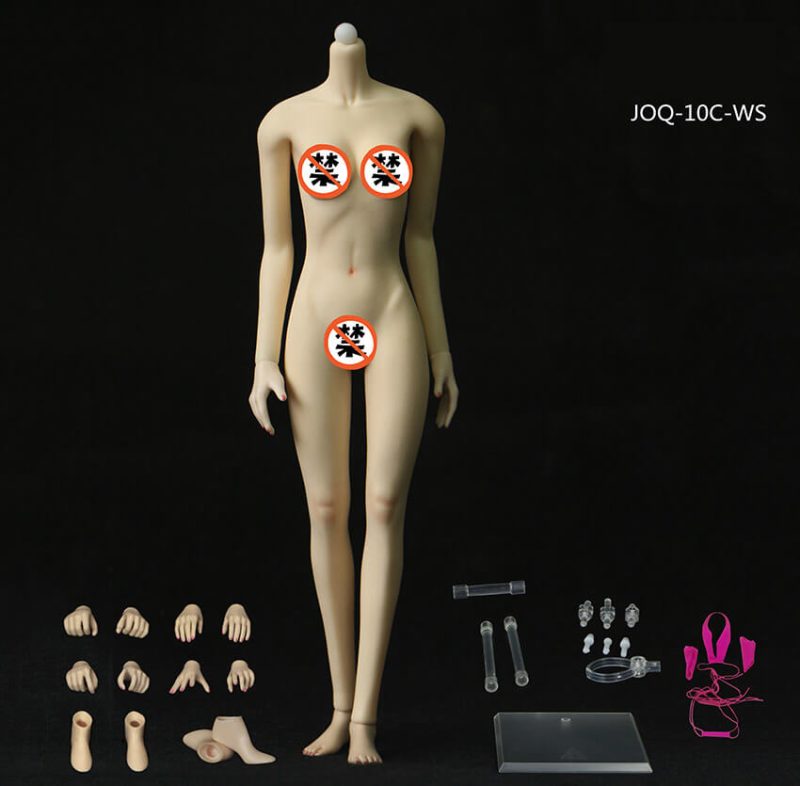 1/6 Asian Shape Middle Bust Skeleton Seamless Female Body