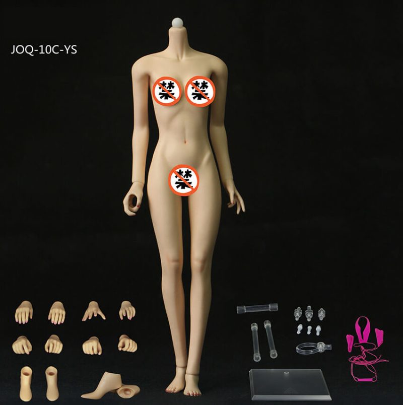 Corps féminin sans coutures, squelette, buste moyen, forme asiatique 1/6