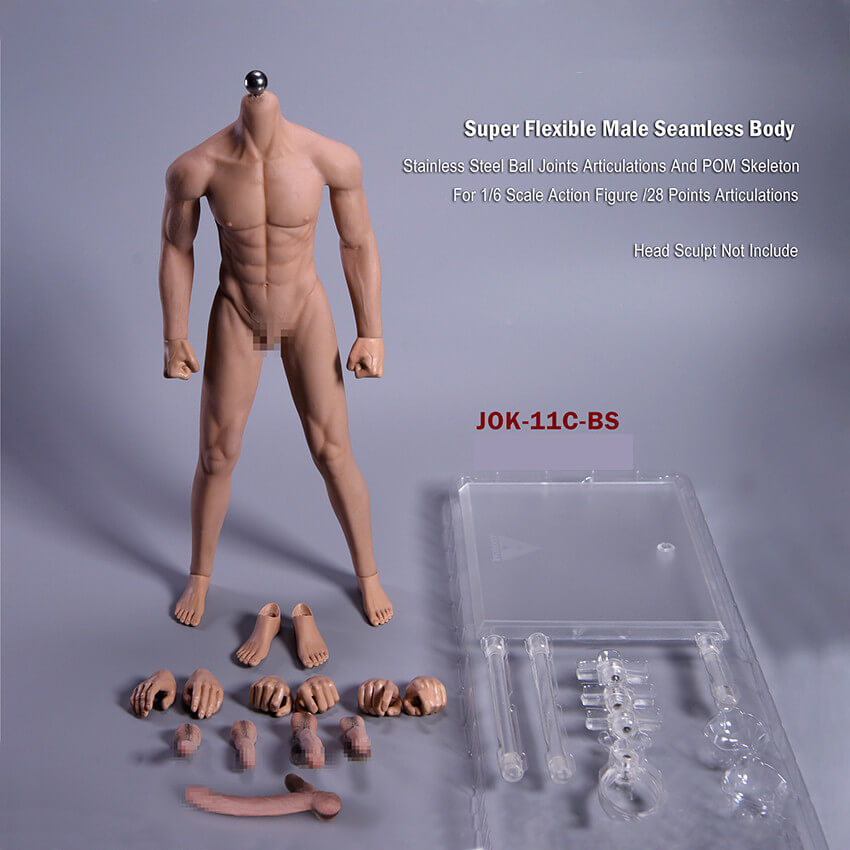 1:6th Male Seamless Skeleton Muscle Body
