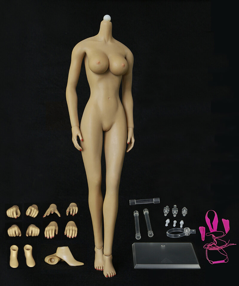1/6 Asian Shape Huge Bust Skeleton Seamless Cuerpo Femenino