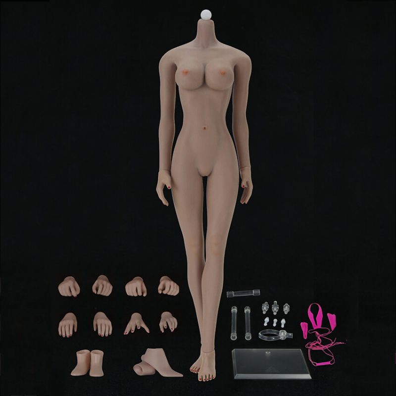 1/6 Corpo feminino sem costura em forma de esqueleto enorme de busto asiático