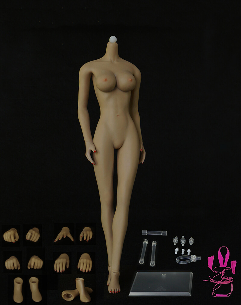1/6 Asian Shape Huge Bust Skeleton Seamless Female Body