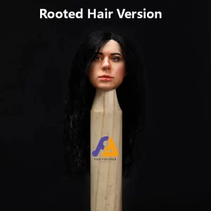 1/6 Head 
sculpt Rooted Hair 